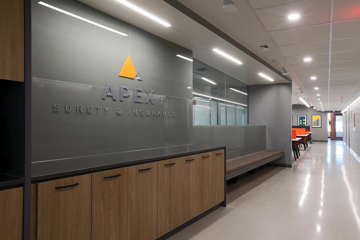 Apex Surety and Insurance